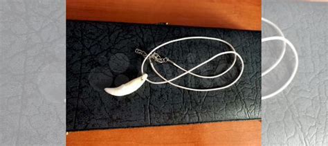 Зуб волка купить в Москве | Хобби и отдых | Авито