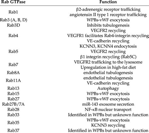 Rab Gtpases Identified In Endothelial Cells And Their Function