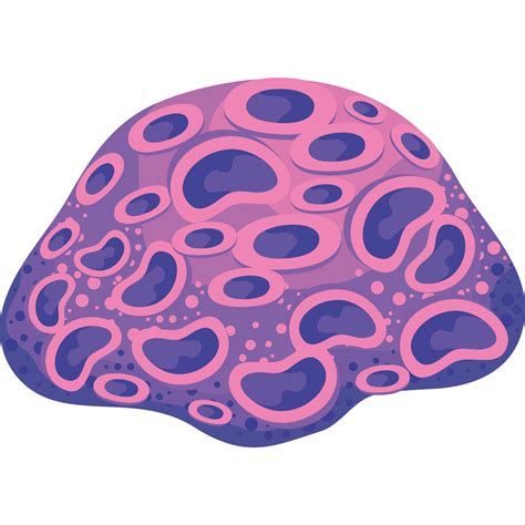 Pink And Purple Coral Reef 24097557 Png