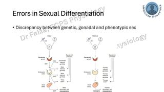 Sexual Determination Genetic Gonadal Phenotypic Sex And Reproductive Anomalies Pdf