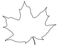 leaf outline illustration clipart  stock photo public domain pictures