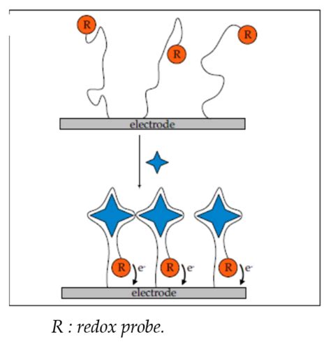 Chemosensors Free Full Text Contribution Of Nanomaterials To The