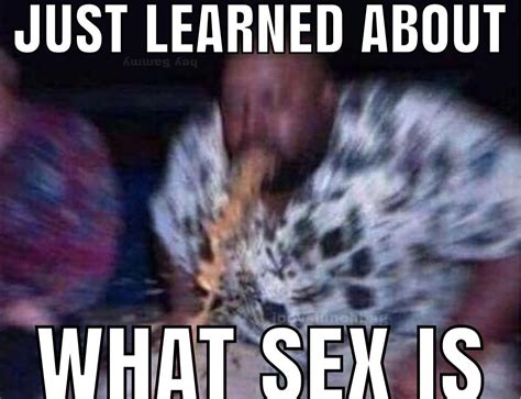 Fuck R Okbuddyretard Ironic Sex Memes Know Your Meme