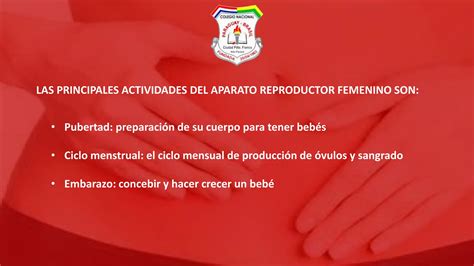 Aparato Reproductor Femenino De Un Cuerpo Humanopptx