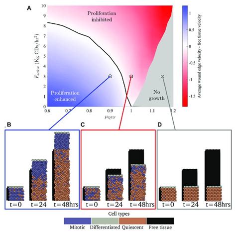 parameter space showing  difference   average wound