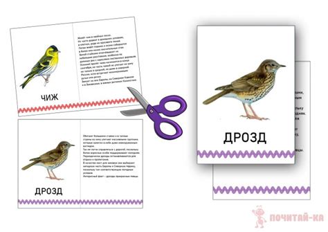 Набор карточек "Перелётные птицы" » Почитай-ка. Сайт для детей, которые ...