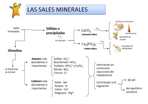 BiologÍa Con Las Tics 2016