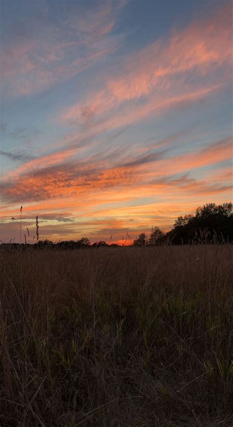 sunset aesthetic | Sunset background, Sunset landscape, Sunset nature