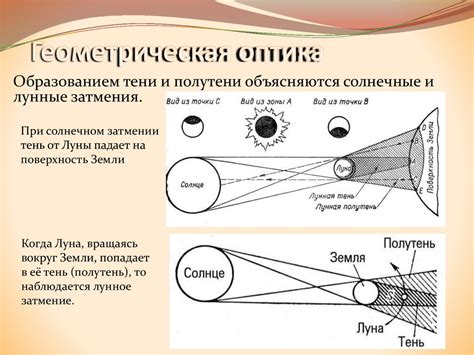 Биолюминесценция. Светящиеся бактерии - презентация онлайн