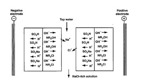working principal diagram  regeneration stage  scientific