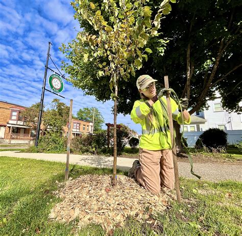 Northwest Neighborhoods