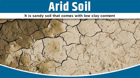 Arid Soil Ppt 46 Off Th