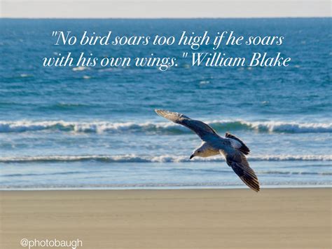 Quote On Soaring