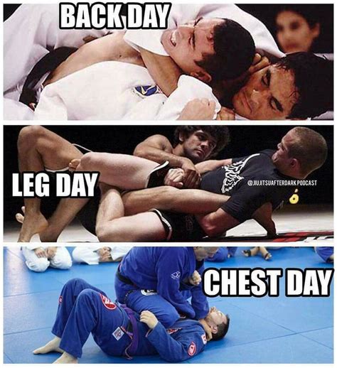 Jiu Jitsu Humor Image By Sergio Pantoja On Jiu Jitsu Jiu Jitsu Quotes