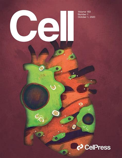 科学与艺术的结合！《cell》100张期刊封面鉴赏｜2020年篇 知乎