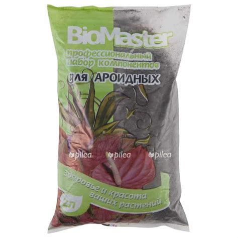 Земля для спатифиллума: какой грунт подойдет