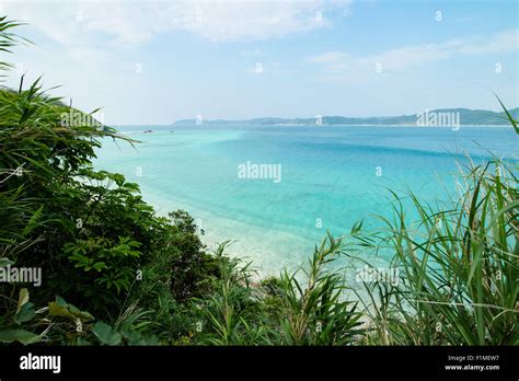 Beautiful Tropical Beach Paradise Of Amami Oshima In Southern Japan