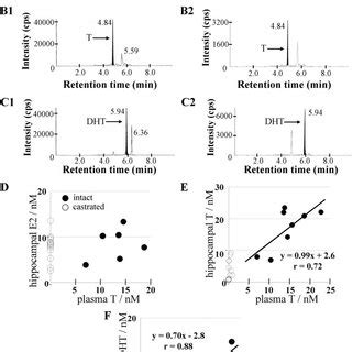 Pdf Comparison Between Hippocampus Synthesized And Circulation Derived Sex Steroids In The