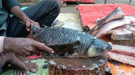 Pleasing Knife Skills Of Cutting Rohu Fish Big Rui Fish Skinning And