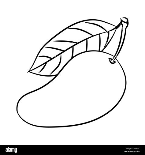Cartoon Mango Black And White Stock Photos And Images Alamy
