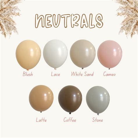 Neutral Balloons Diy Balloons Baby Shower Birthday Cream Blush