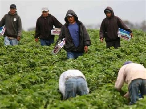 La importancia y contribución de la mano de obra latina en Estados Unidos Work Us