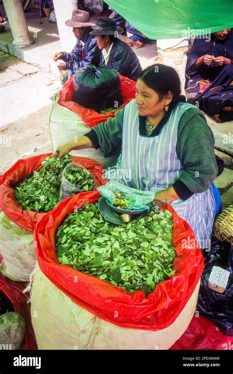 Hojas De Coca Bolivia At Patrick Hidalgo Blog