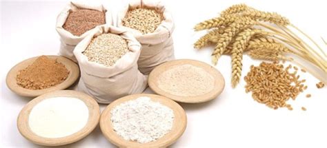 Виды муки, её свойства и что нужно знать о муке