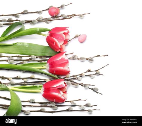Easter Eggs Tulip Flowers And Pussy Willow Branches On White Background Stock Photo Alamy