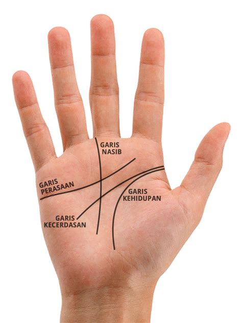 Kenali Diri Dengan Membaca Garis Tangan Palmistry GOODLIFE