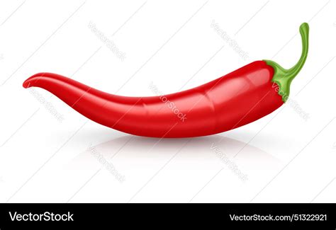 Red Hot Chili Pepper Pod Royalty Free Vector Image