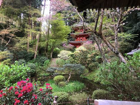 岩船寺庭園 ― アジサイの名所京都府木津川市の庭園。 庭園情報メディア【おにわさん】