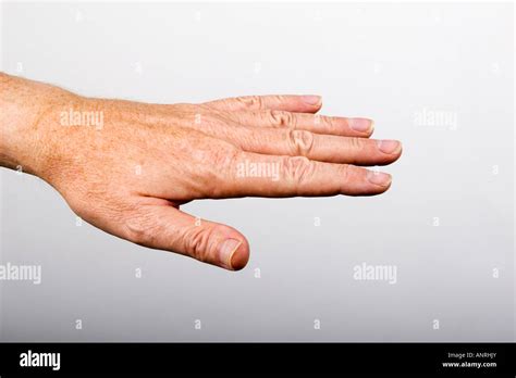 left hand part  res stock photography  images alamy