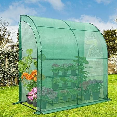 Lean to Greenhouse: How To Build A Greenhouse On A Budget - Eco Home Zone