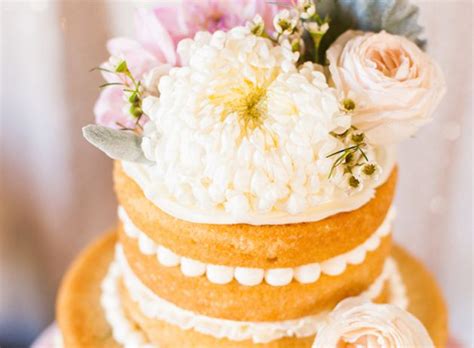 Best Naked Cakes Images On Pinterest