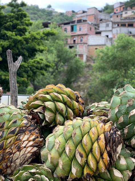 Spirits Industry – Altar Mezcal