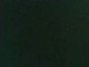 Allison Walsh Nude Aznude