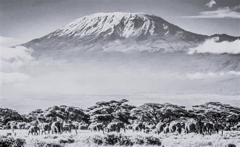 Decoding the Mystery: Is Mount Kilimanjaro in Kenya or Tanzania