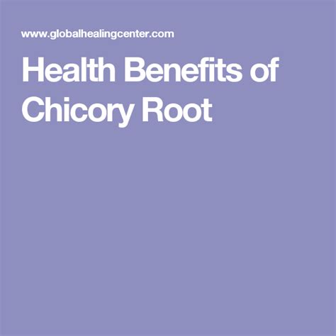 Health Benefits of Chicory Root | Health, Health benefits, Alternative