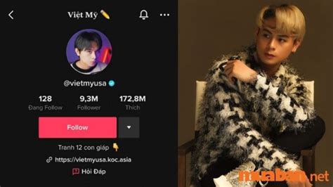 Top Tiktoker Vi T Nam S H U Nhi U Follow Hot Nh T