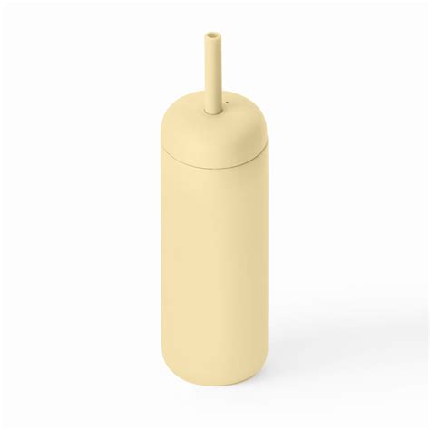 Straw Tumbler 17oz