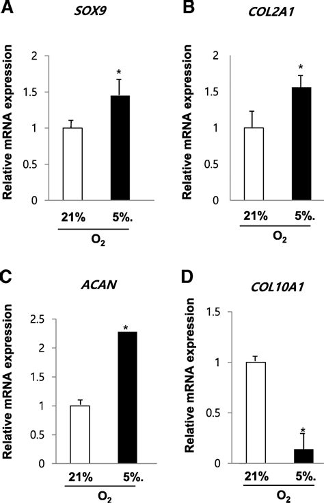 Hypoxic Condition Enhances Chondrogenesis In Synovium Derived