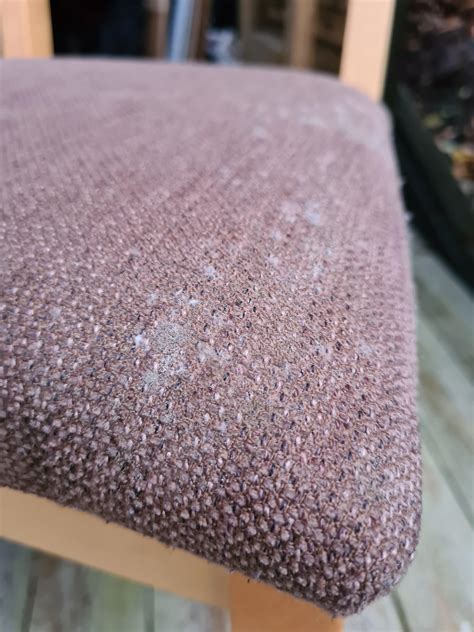 how to get rid of mold in fabric 2