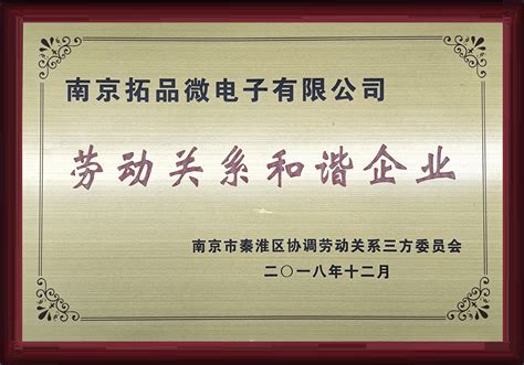 About Toppower Top Power Asic