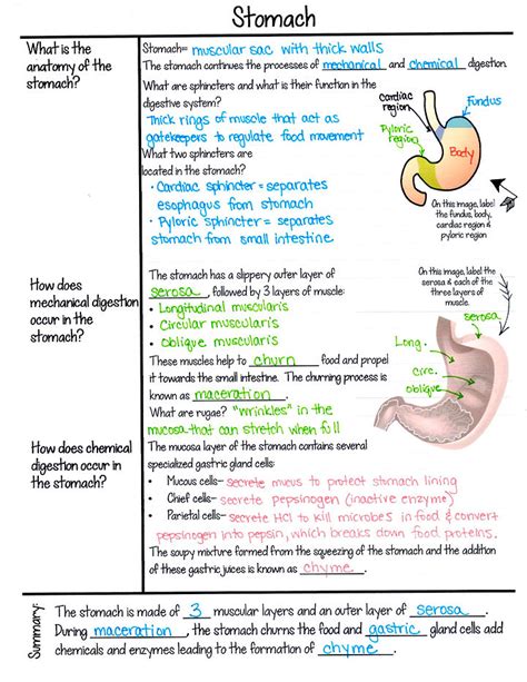 Why Use Cornell Note Taking Method Maximizing Your Learning Potential