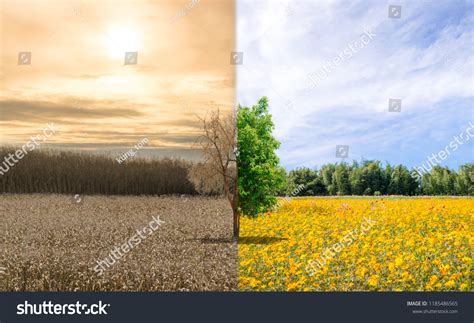 Environment Change Ecology Global Warming Drought Stock Photo