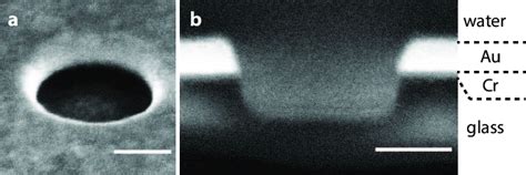 Scanning Electron Microscope images of an experimental 300 nm diameter ...