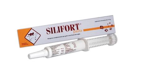 Silifort pasta 15g Aurora - Farmas