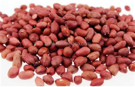 High Efficiency Roasted Peanut Red Skin Peeling Machine With Factory