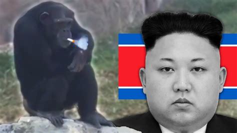 The Smoking Chimp In North Korea Youtube